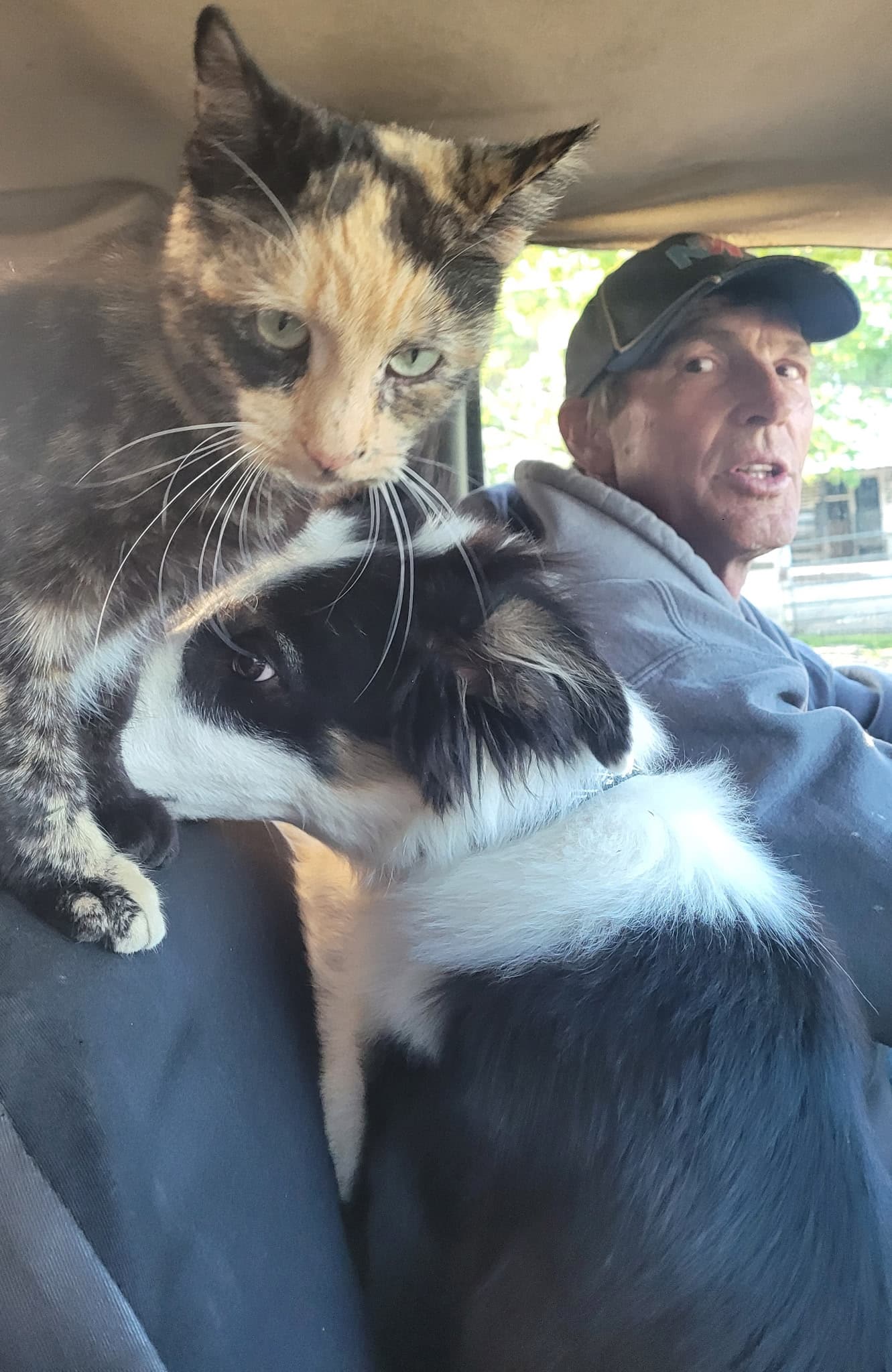 Charlie Bill, Spencer, and Muffin