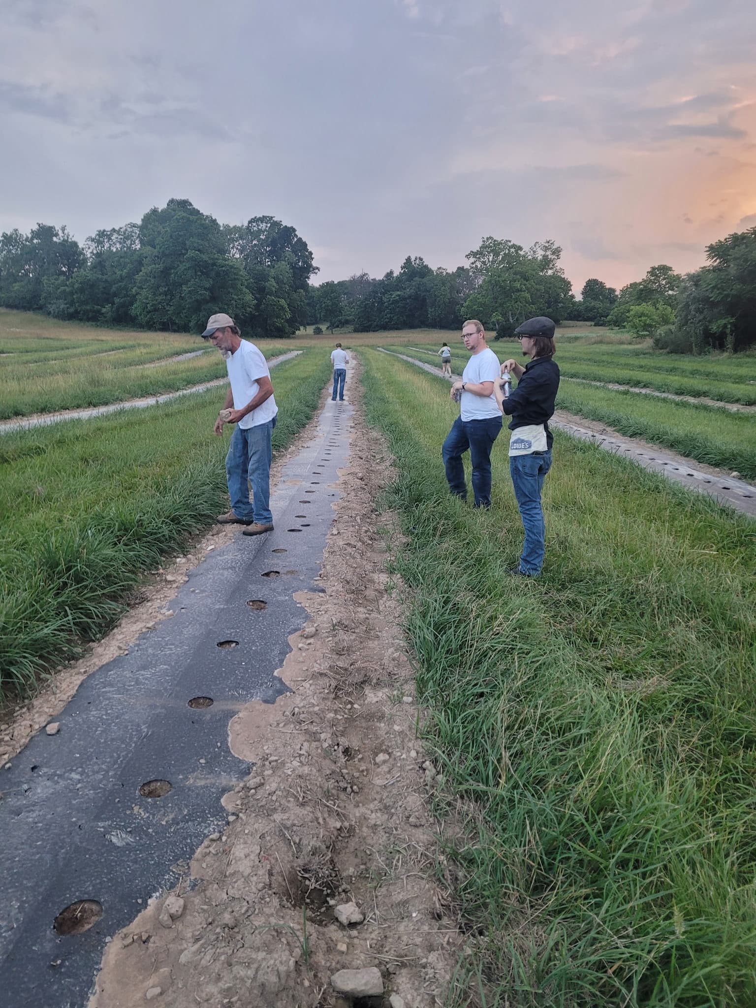 Charlie Bill and family working together planting pumpkins
