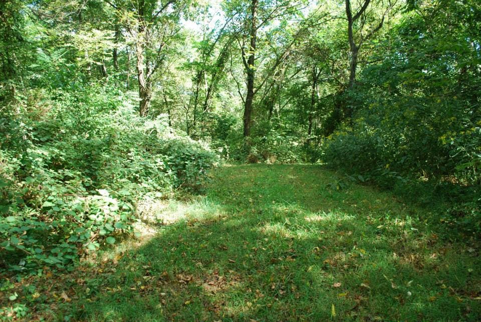 Nature Trails