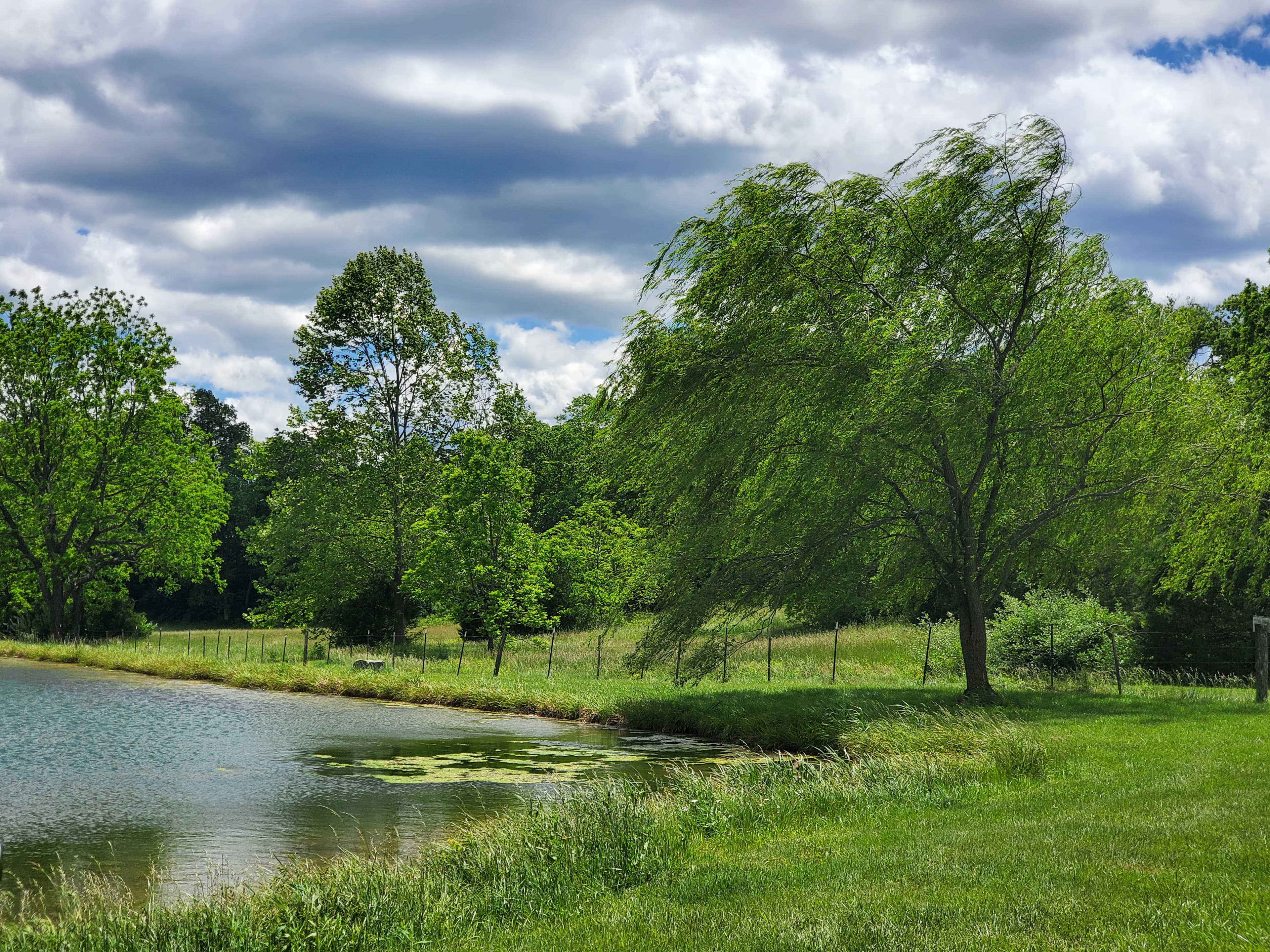 Scenic farm
