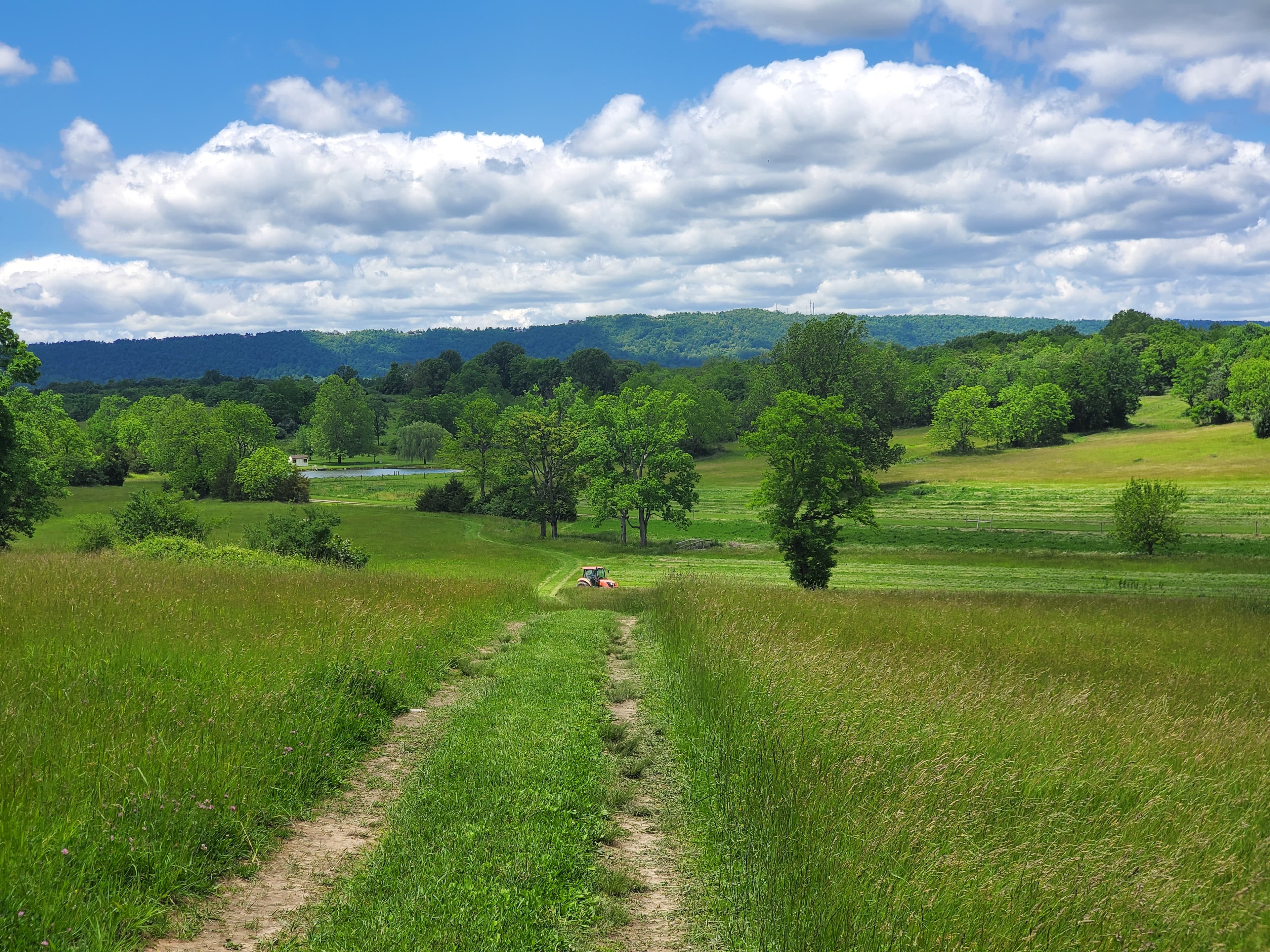 A wide summer view across the fields, pond, and wooded hills of Glencoe Farm